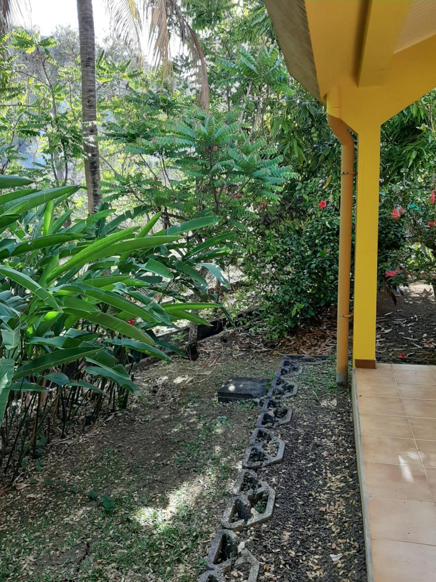 Residence De Vacances Mon Refuge - Bungalow De Type T3 Grande Anse Eksteriør bilde
