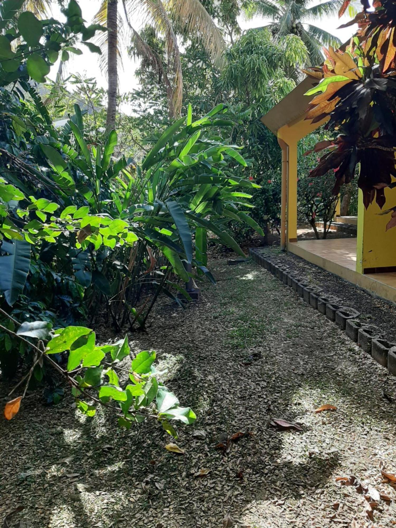 Residence De Vacances Mon Refuge - Bungalow De Type T3 Grande Anse Eksteriør bilde